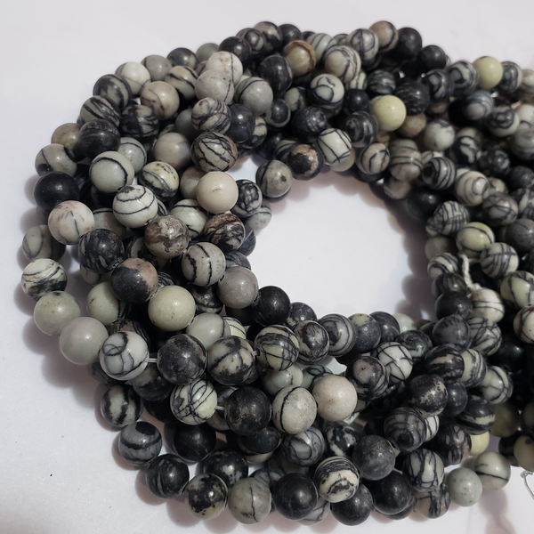 ZEBRA JASPER_1054