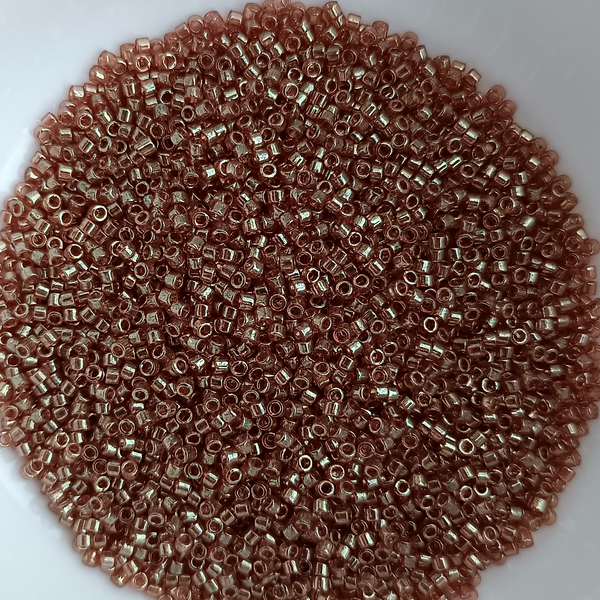 DELICA BEADS DB 0102 (10 Grams)